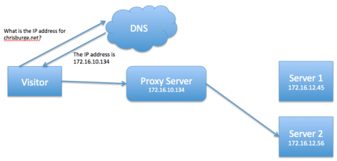 With a reverse proxy - after DNS record change